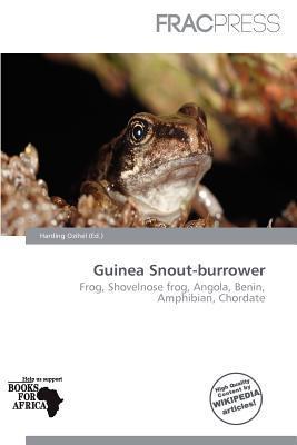 Guinea Snout-burrower
