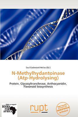 N-Methylhydantoinase (Atp-Hydrolysing)