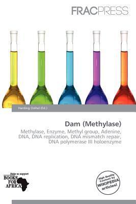 Dam (Methylase)
