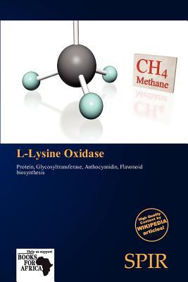 L-Lysine Oxidase