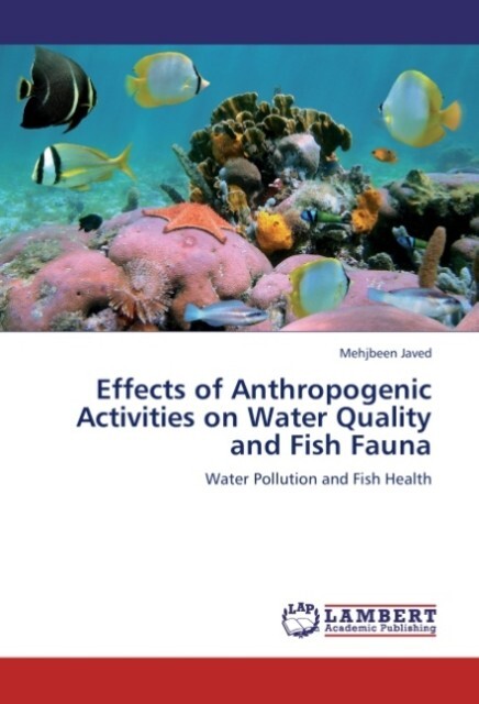 Effects of Anthropogenic Activities on Water Quality and Fish Fauna