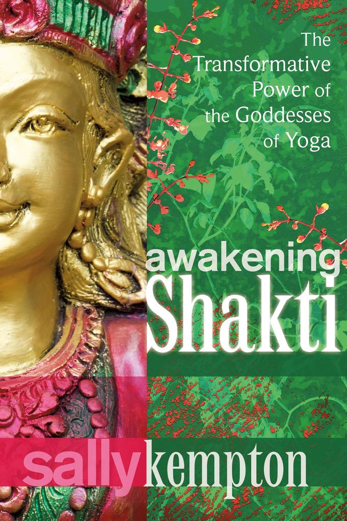 St. Martin's Publishing Group Awakening Shakti