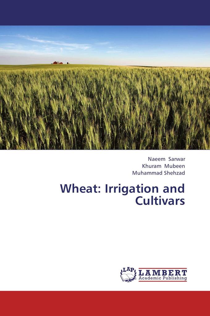 Wheat: Irrigation and Cultivars