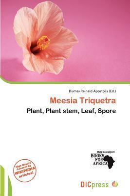 Meesia Triquetra