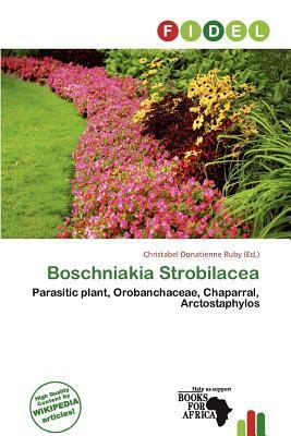 Boschniakia Strobilacea