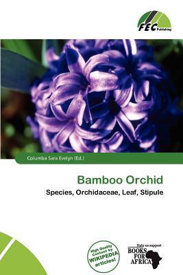 Bamboo Orchid