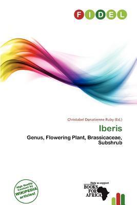 Iberis