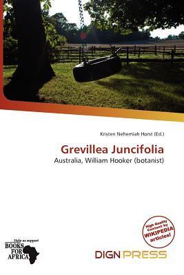 Grevillea Juncifolia