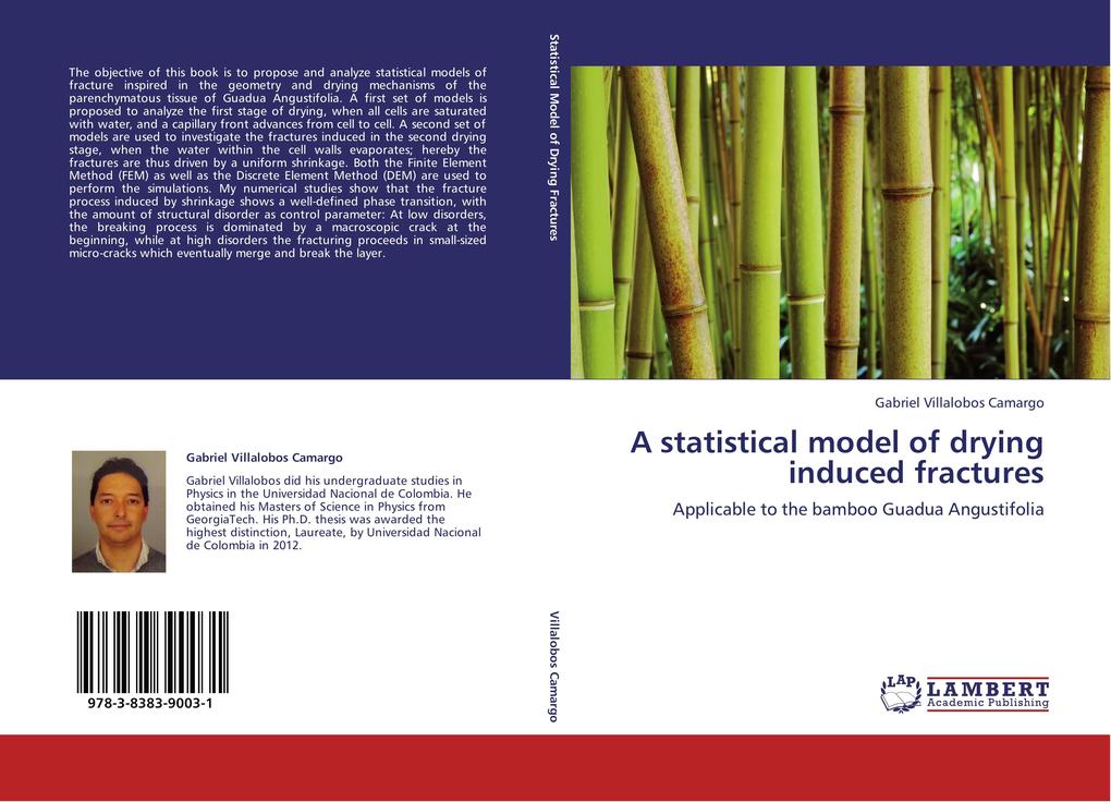 A statistical model of drying induced fractures