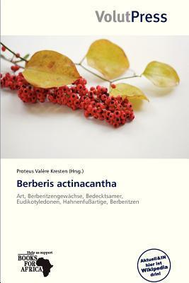 Berberis actinacantha