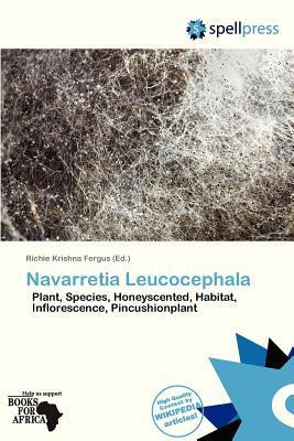 Navarretia Leucocephala