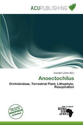 Anoectochilus
