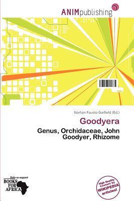 Goodyera