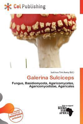 Galerina Sulciceps