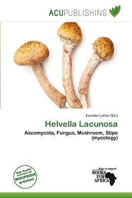 Helvella Lacunosa