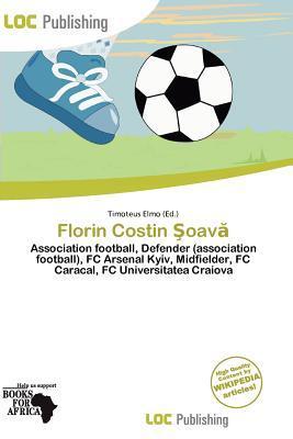 Florin Costin oav
