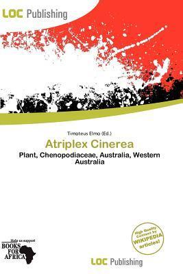 Atriplex Cinerea