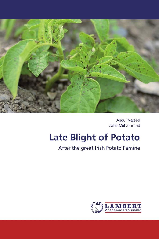 Late Blight of Potato