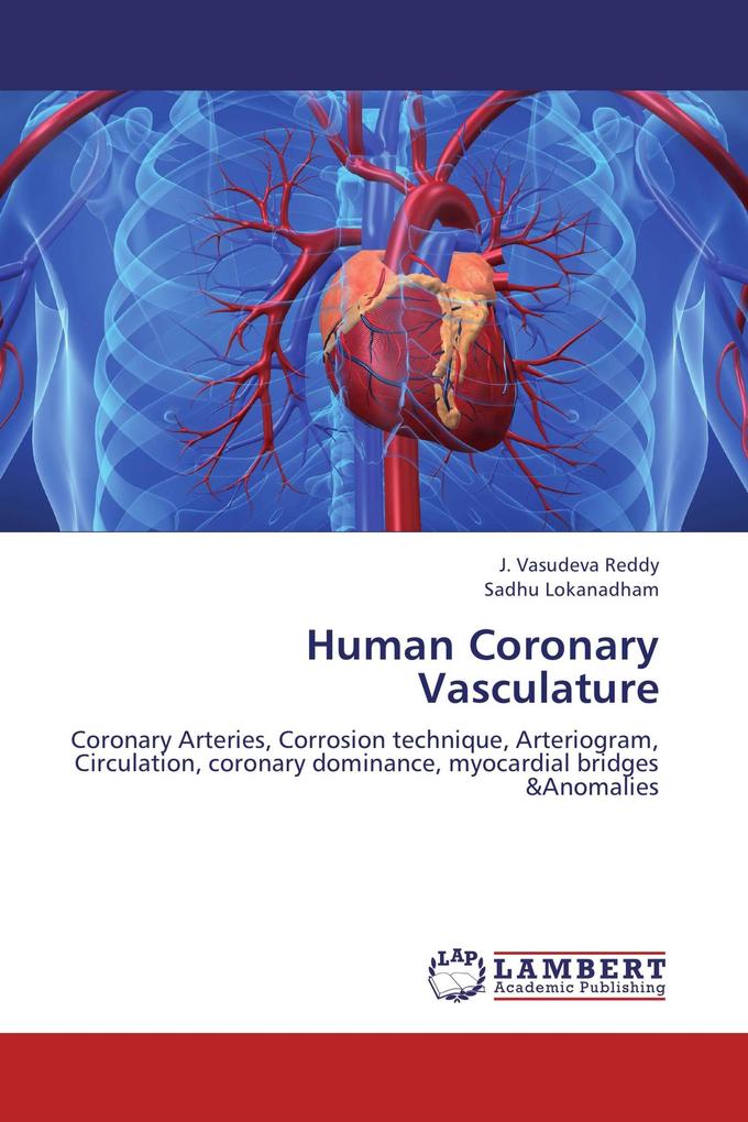 Human Coronary Vasculature
