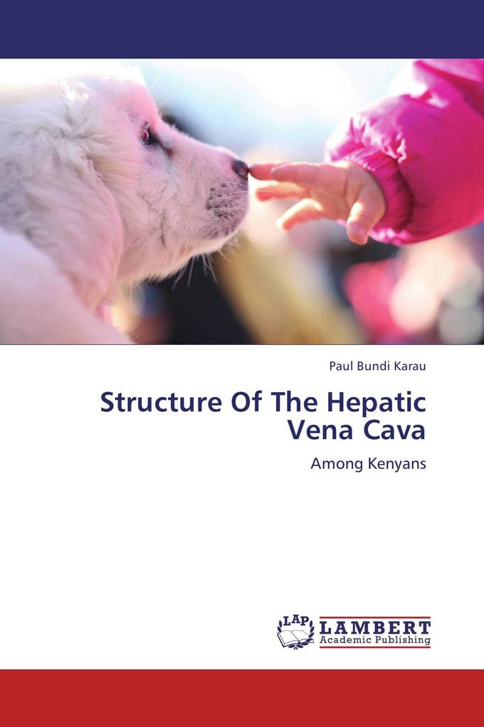 Structure Of The Hepatic Vena Cava