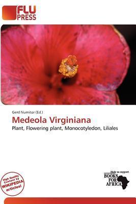 Medeola Virginiana