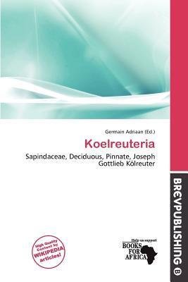 Koelreuteria