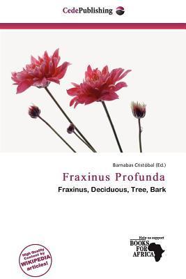 Fraxinus Profunda