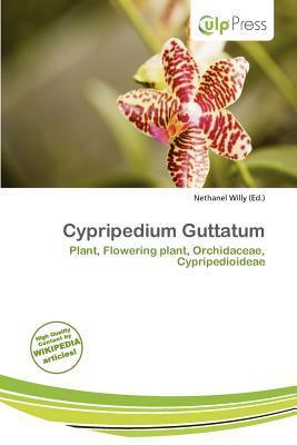 Cypripedium Guttatum