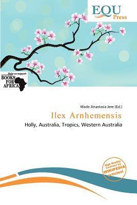 Ilex Arnhemensis