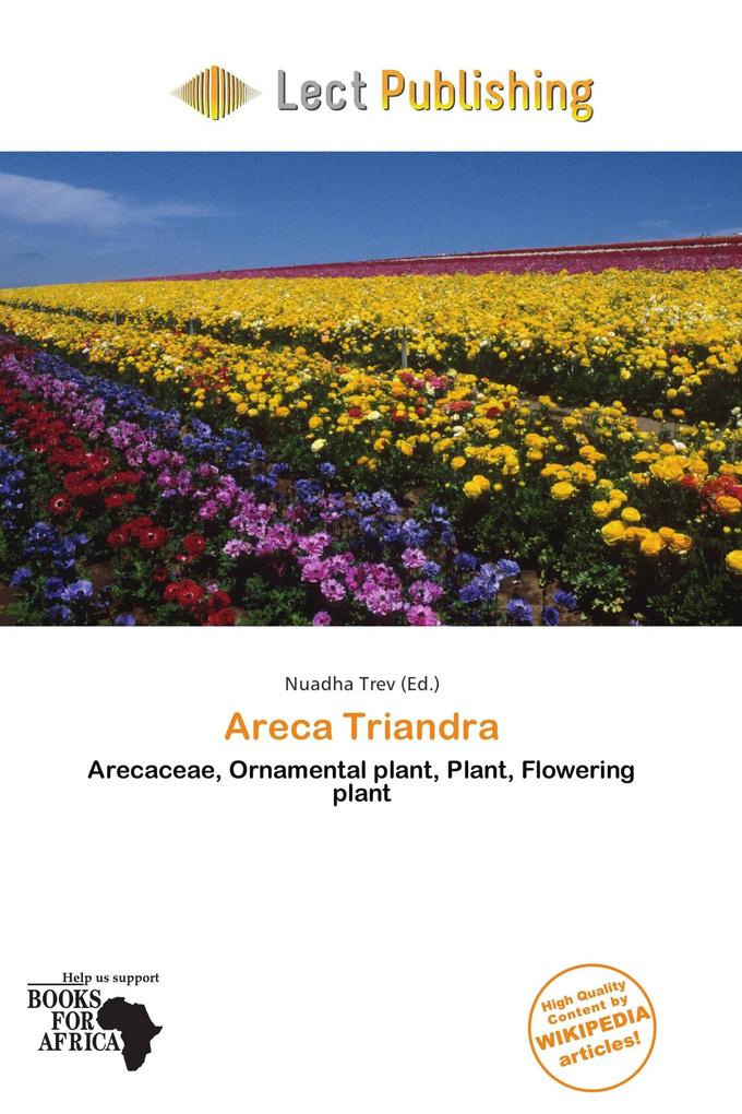 Areca Triandra