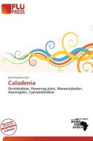 Caladenia