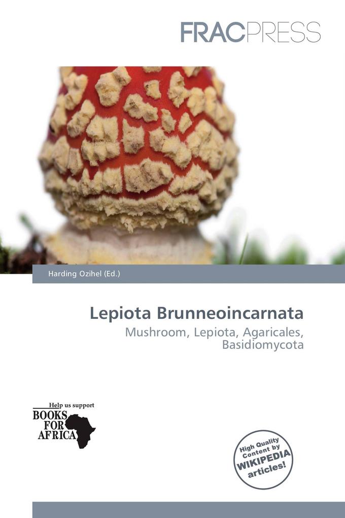 Lepiota Brunneoincarnata