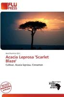 Acacia Leprosa 'Scarlet Blaze'