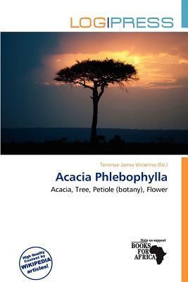 Acacia Phlebophylla