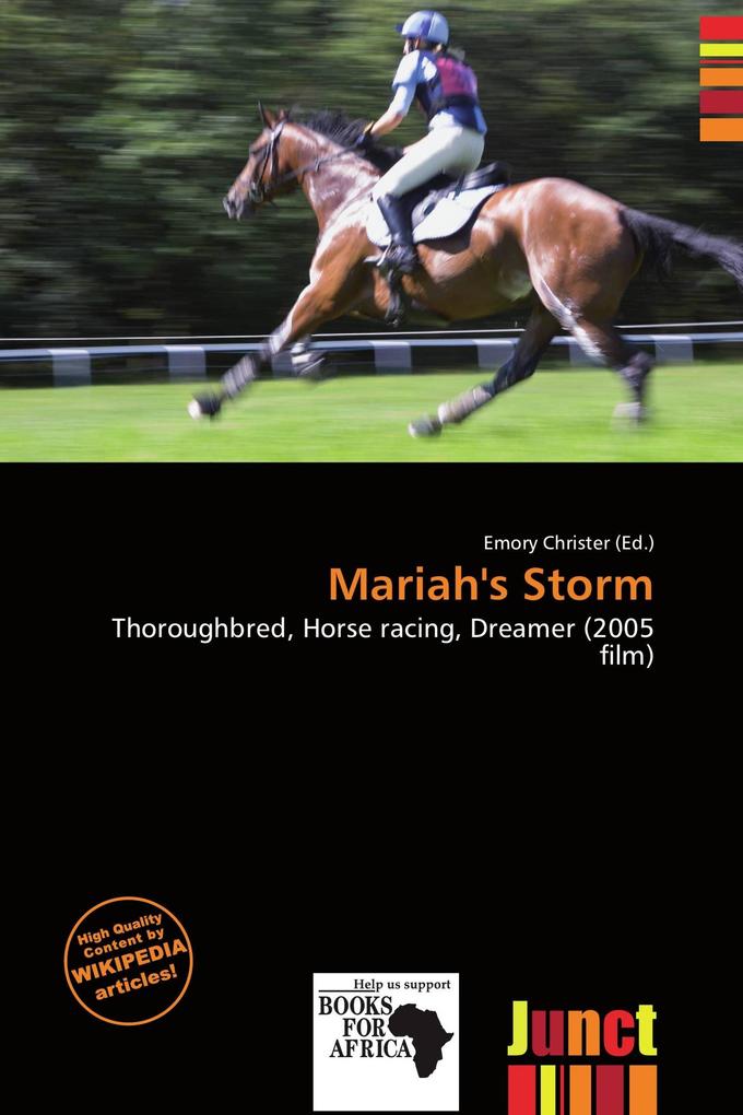 Mariah's Storm
