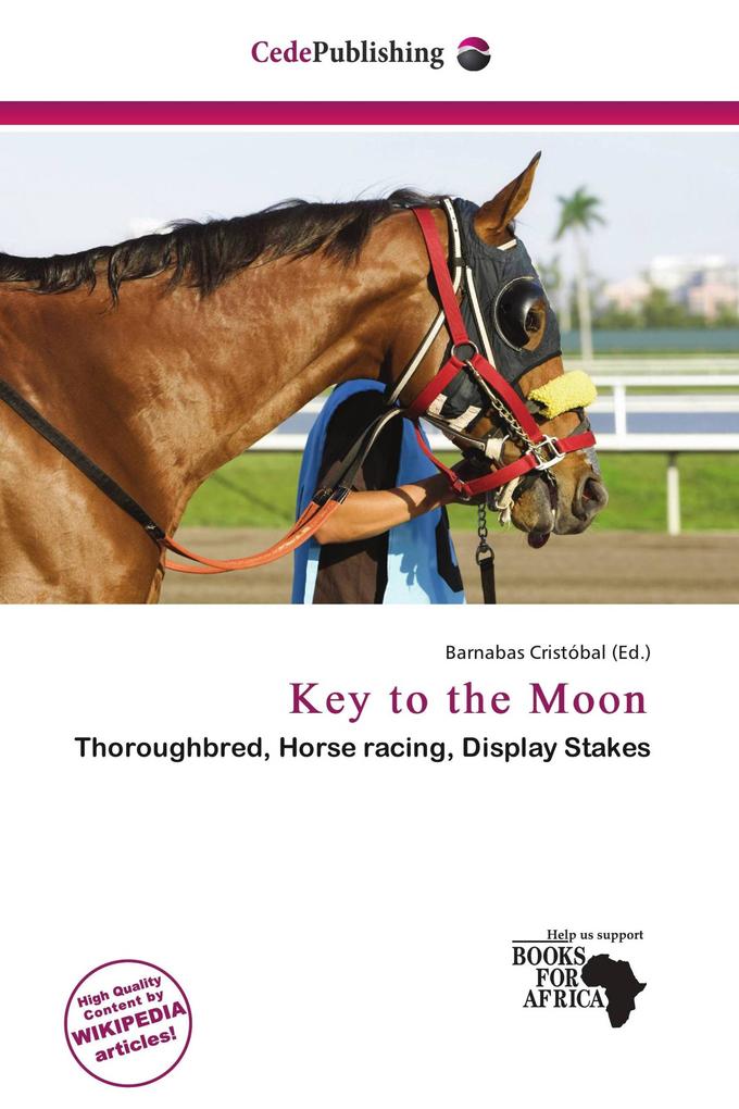 Key to the Moon