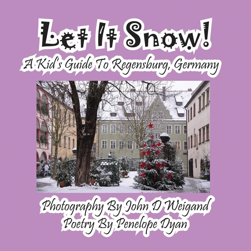 Let It Snow! a Kid's Guide to Regensburg Germany