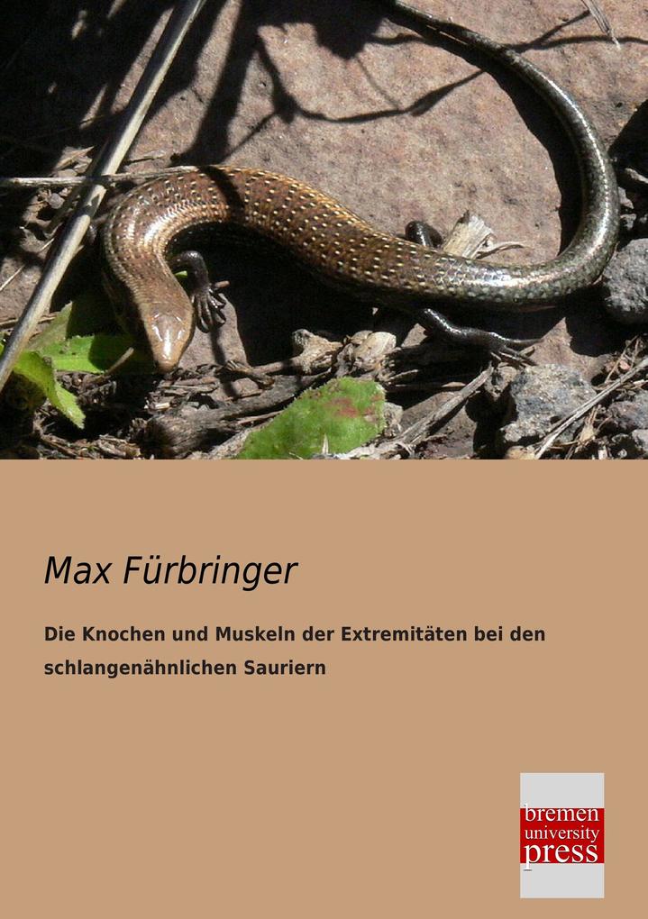 Die Knochen und Muskeln der Extremitäten bei den schlangenähnlichen Sauriern