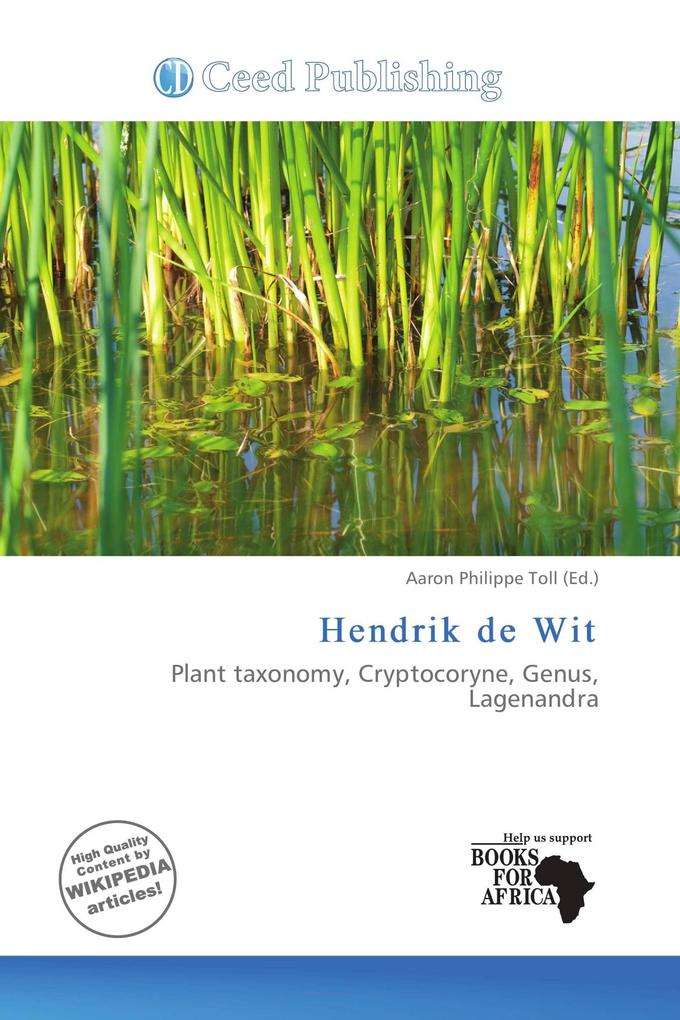 Hendrik de Wit