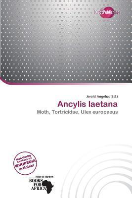 Ancylis laetana