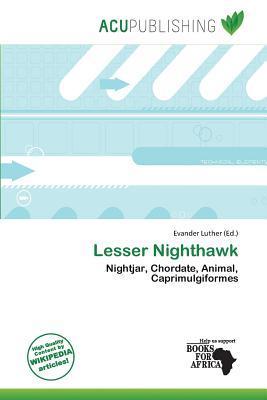 Lesser Nighthawk