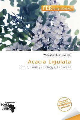 Acacia Ligulata