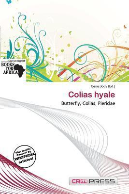 Colias hyale