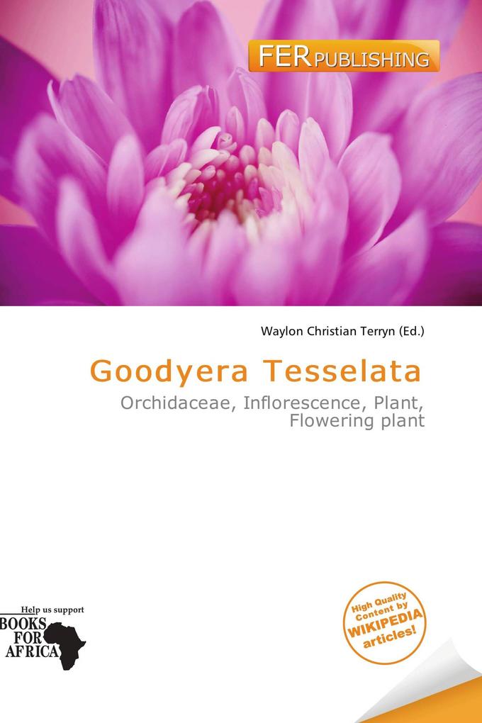 Goodyera Tesselata