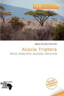 Acacia Triptera