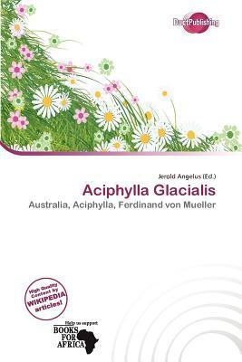 Aciphylla Glacialis