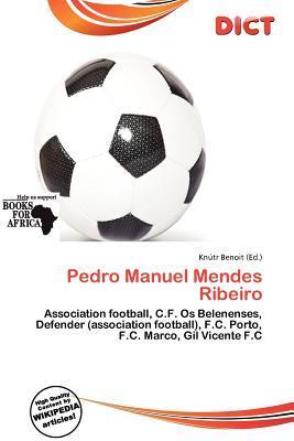 Pedro Manuel Mendes Ribeiro