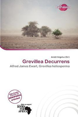 Grevillea Decurrens
