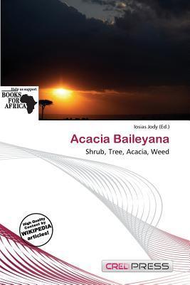 Acacia Baileyana