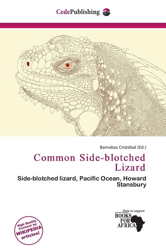 Common Side-blotched Lizard